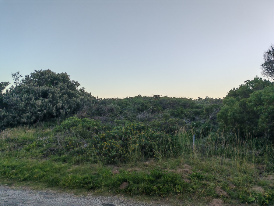 0 Bedroom Property for Sale in Boknesstrand Eastern Cape